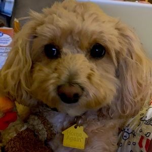 Meet your Posher, Nicole